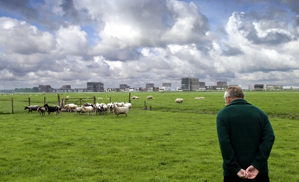 Decoratieve foto van man die uitkijkt over het landschap