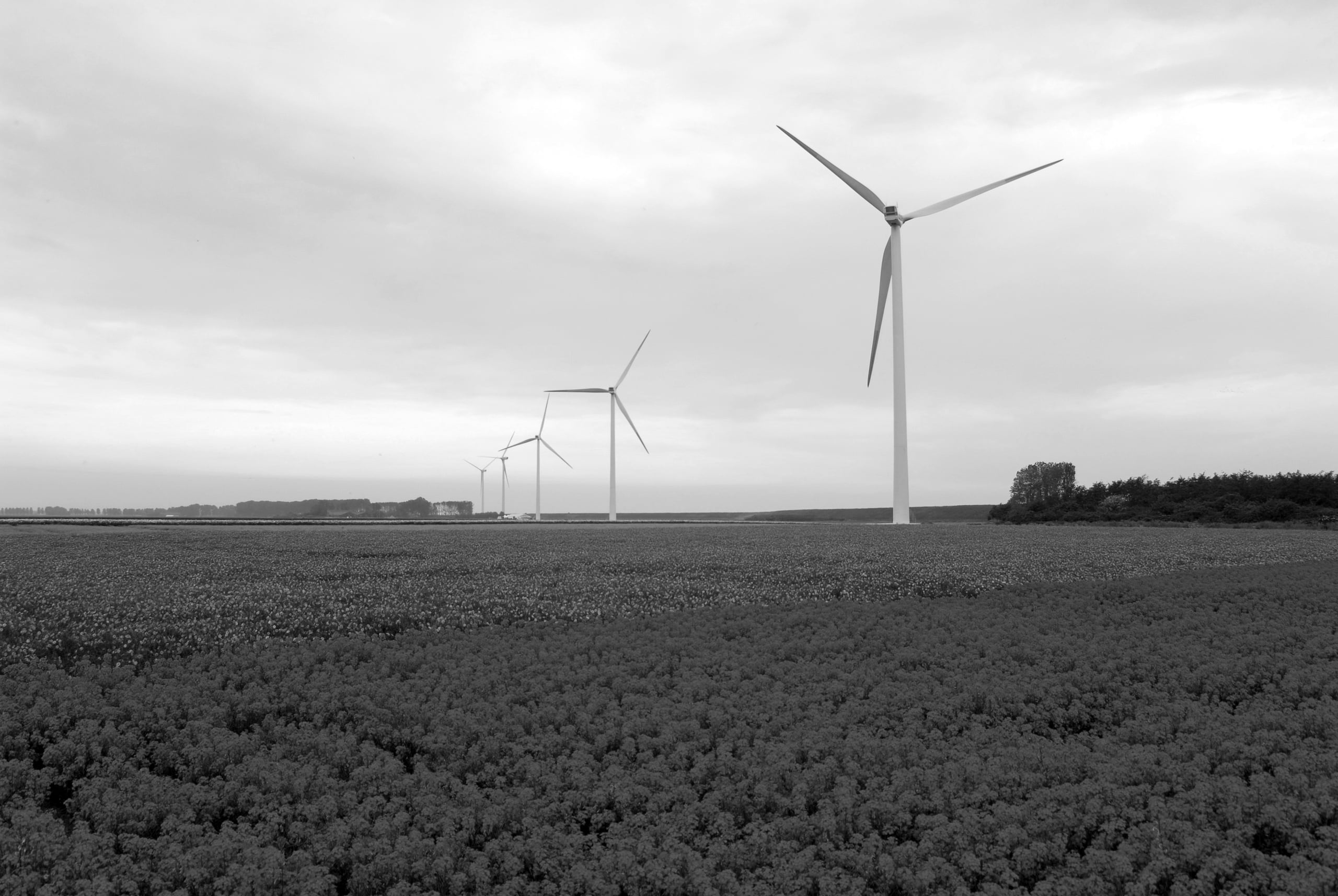 Decoratieve foto van een windmolen op het land