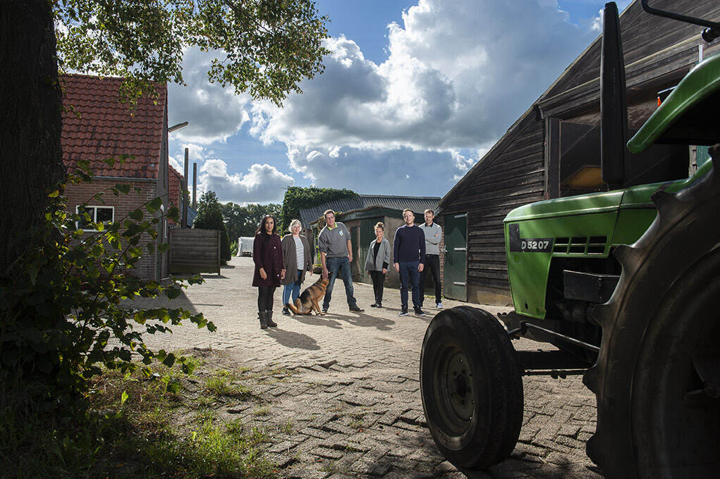 Dalfsen, Brood en Spelen