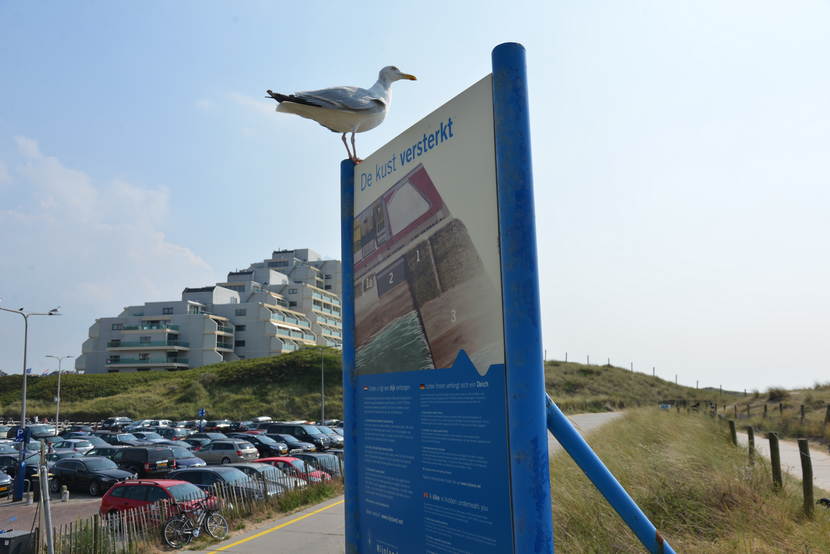 De kust bij Noordwijk