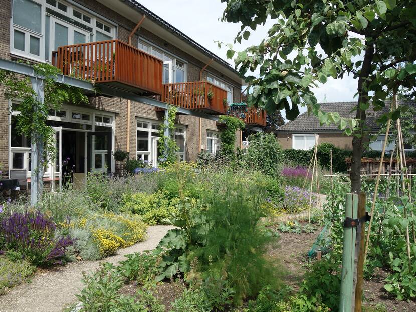 Gevel van getransformeerd schoolgebouw met toegevoegde balkons. Daarvoor de biodiverse en voedselproducerende voortuin