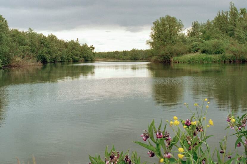 De Biesbosch