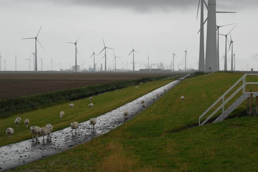 Eemshaven