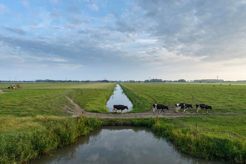 Landschap