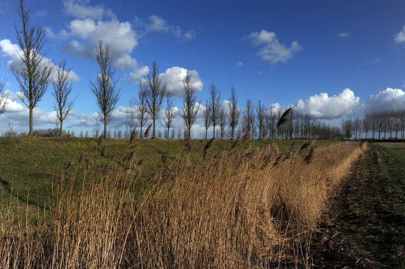 Landschap