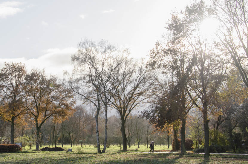 Oirschot - plangebied gezien vanuit noorden