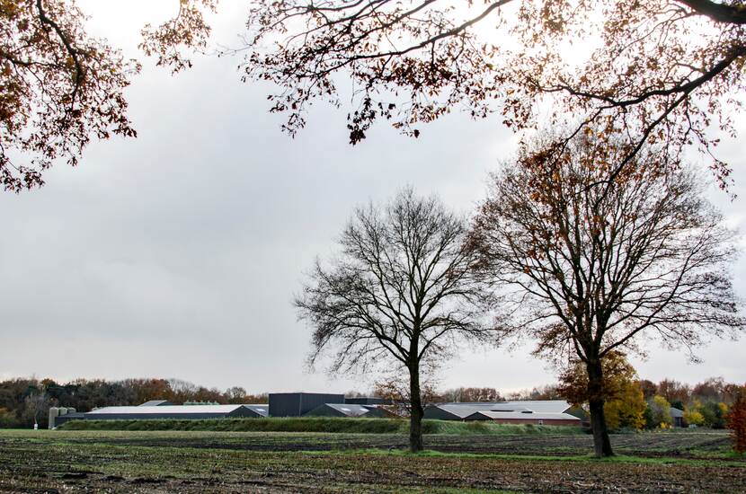 Oirschot plangebied gezien vanuit Noordoosten