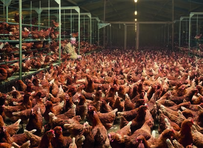 Brood en Spelen